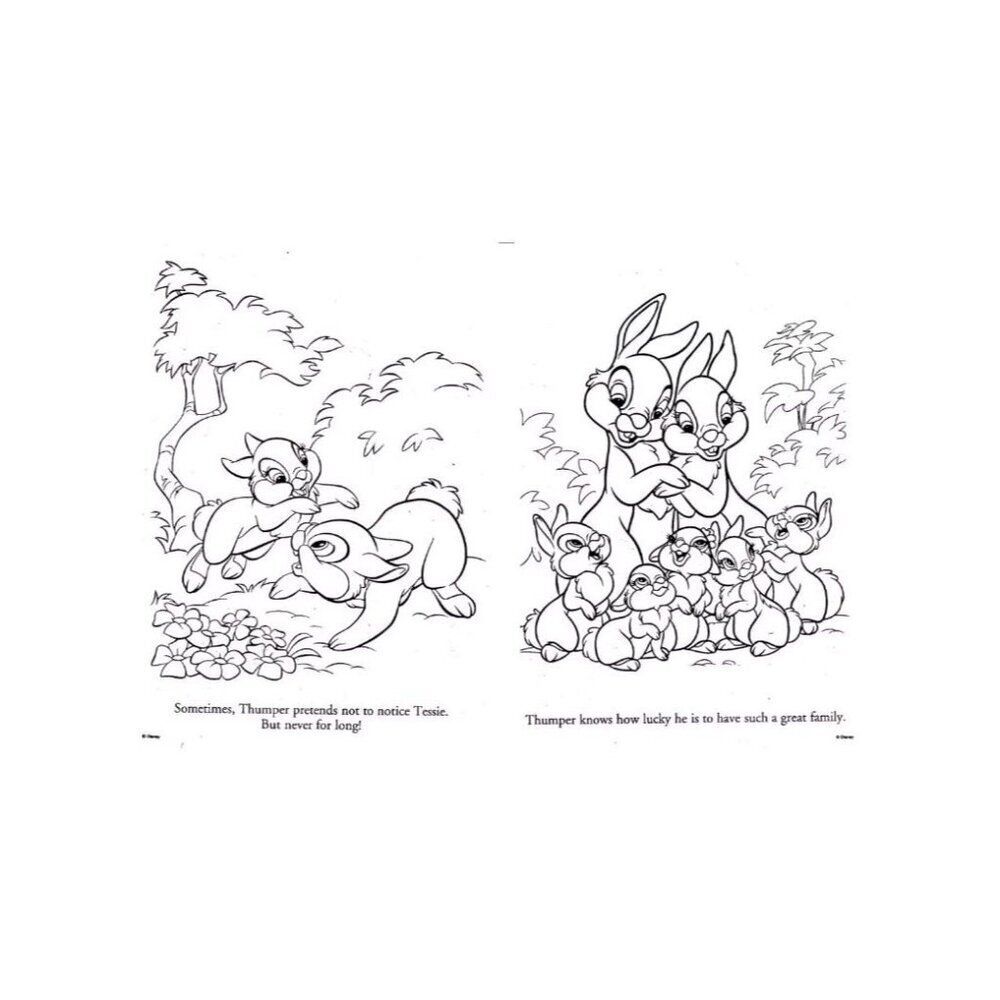Disney Bunnies Jumbo Coloring Activity Book Hoppy Spring Mazes Puzzles Bendon - Picture 3 of 4
